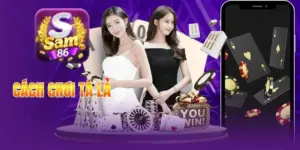 Cách Chơi Tá Lả Chuẩn Luật 2-4 Người, Tính Điểm Rõ Từng Ván