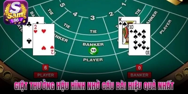 Giật thưởng hậu hĩnh nhờ cầu bài hiệu quả nhất