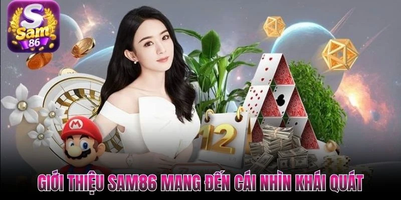 Giới thiệu SAM86 mang đến cái nhìn khái quát Giới thiệu SAM86 mang đến cái nhìn khái quát