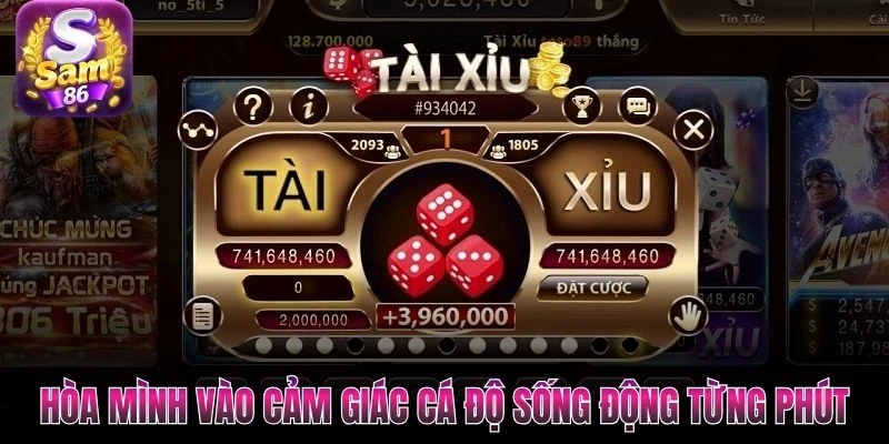 Hòa mình vào cảm giác cá độ sống động từng phút Hòa mình vào cảm giác cá độ sống động từng phút