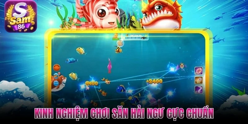 Kinh nghiệm chơi săn hải ngư cực chuẩn