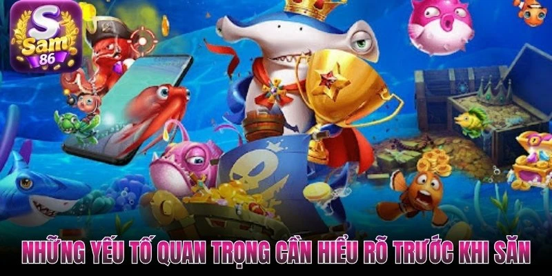 Những yếu tố quan trọng cần hiểu rõ trước khi săn