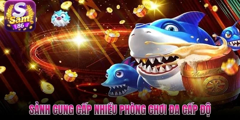 Sảnh cung cấp nhiều phòng chơi đa cấp độ
