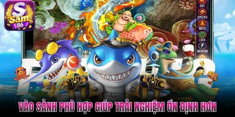 Vào sảnh phù hợp giúp trải nghiệm ổn định hơn